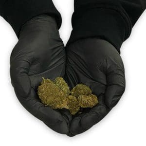 Delta-8-THC Infused Flower - Cookie Dough - Hands