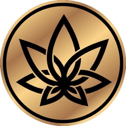 3Chi Logo