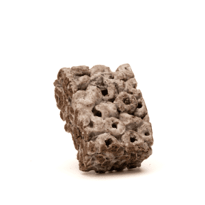 Snapdragon Delta 8 THC Cookies N Cream Cereal Treat (40 mg Delta 8 THC)