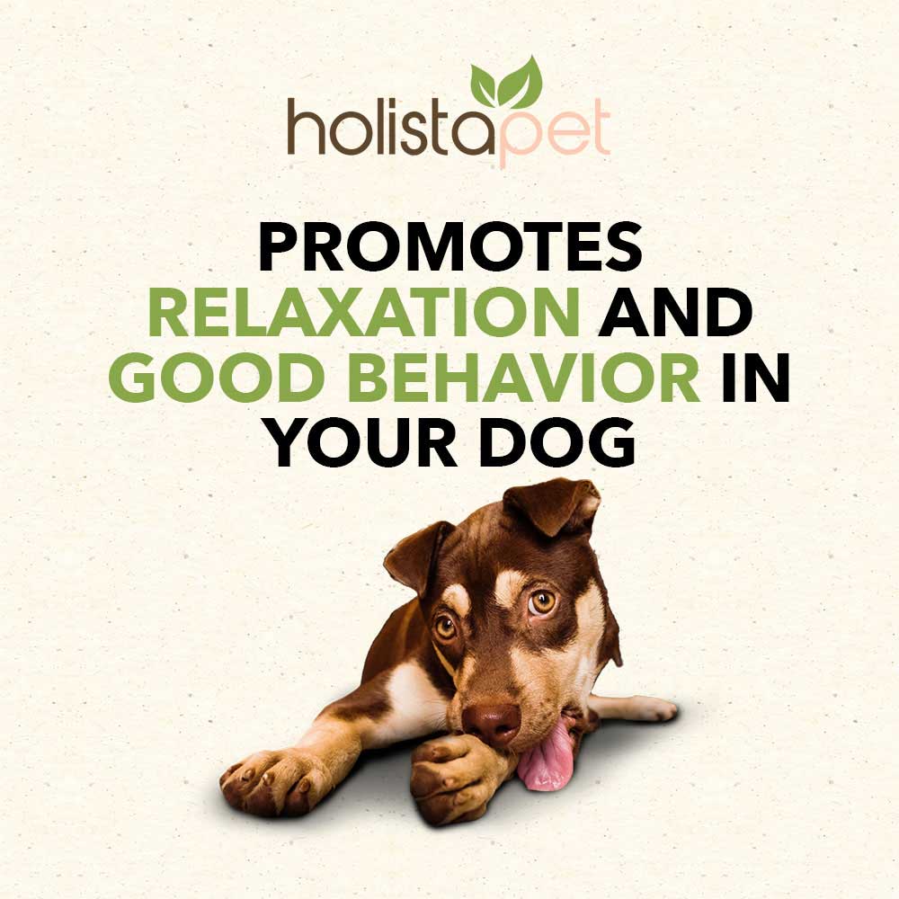 HolistaPet CBD Calming Soft Chews for Dogs (300 mg Total CBD) - Image 6