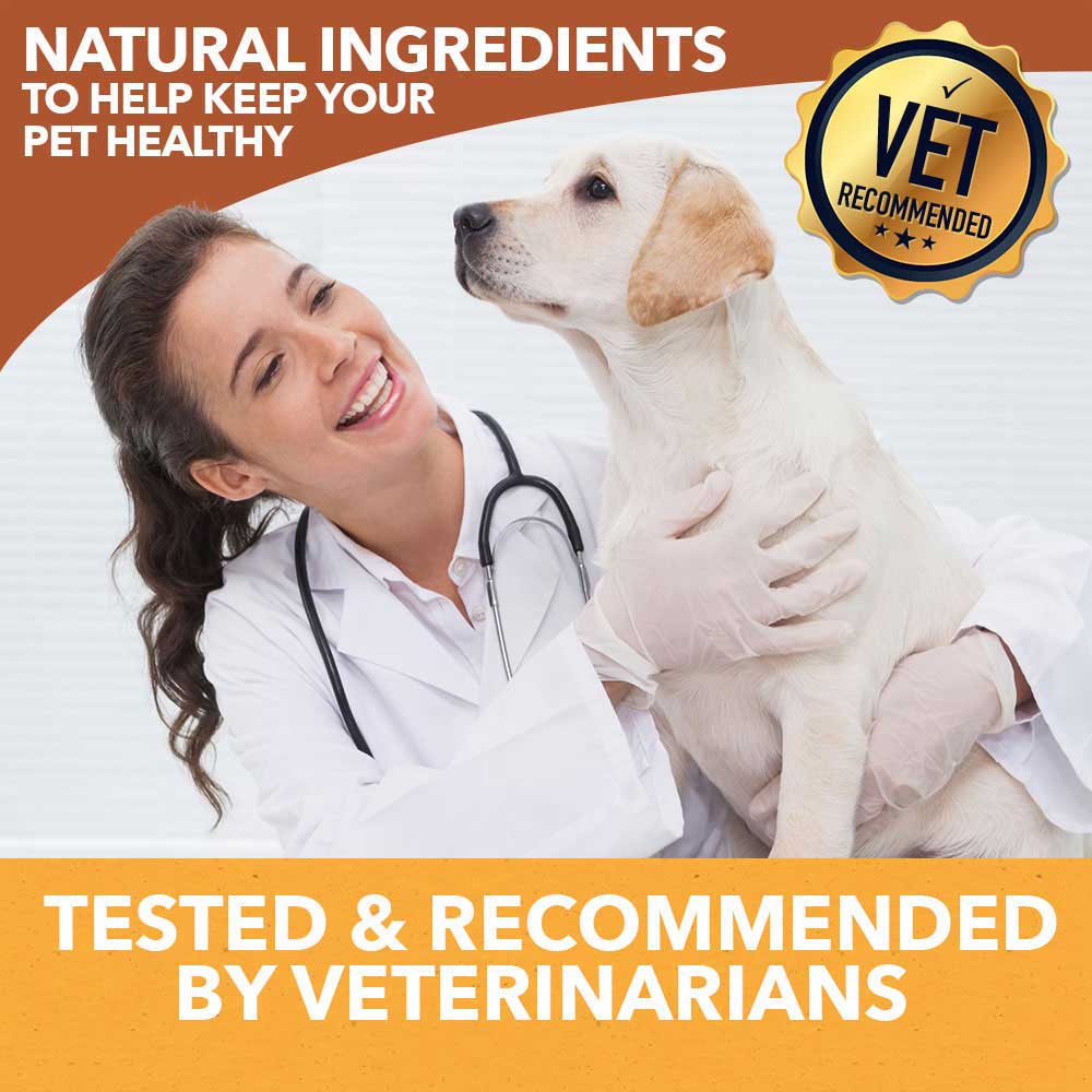 HolistaPet CBD Mobility Soft Chews for Dogs (300 mg Total CBD) - Image 7