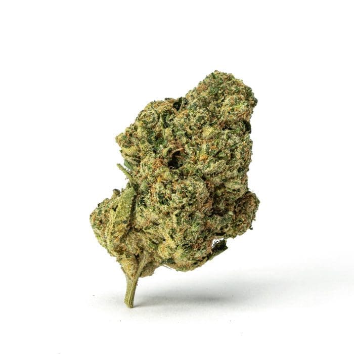 THCa Flower Mac 01 - Bud