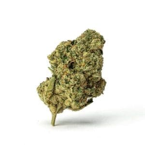 THCa Flower Mac 01 - Bud