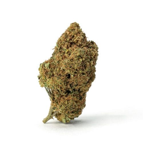 THCa Flower Sex Panther - Bud