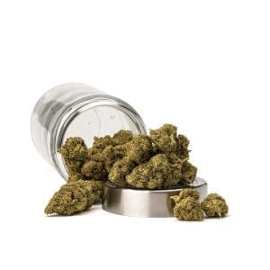 THCa Flower Sex Panther - Ounce