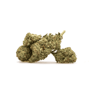 THCa Flower Gold Cash - Pile