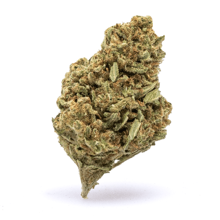 THCa Flower Amnesia Haze - Nug