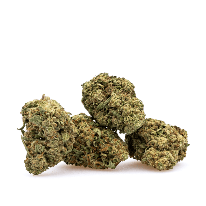 THCa Flower Amnesia Haze - Pile