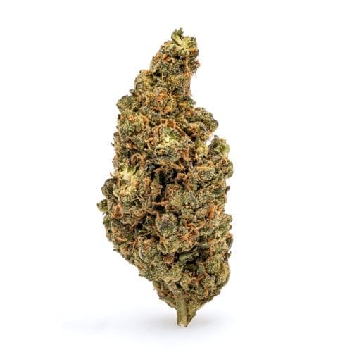 THCa Flower Amnesia Haze - Bud