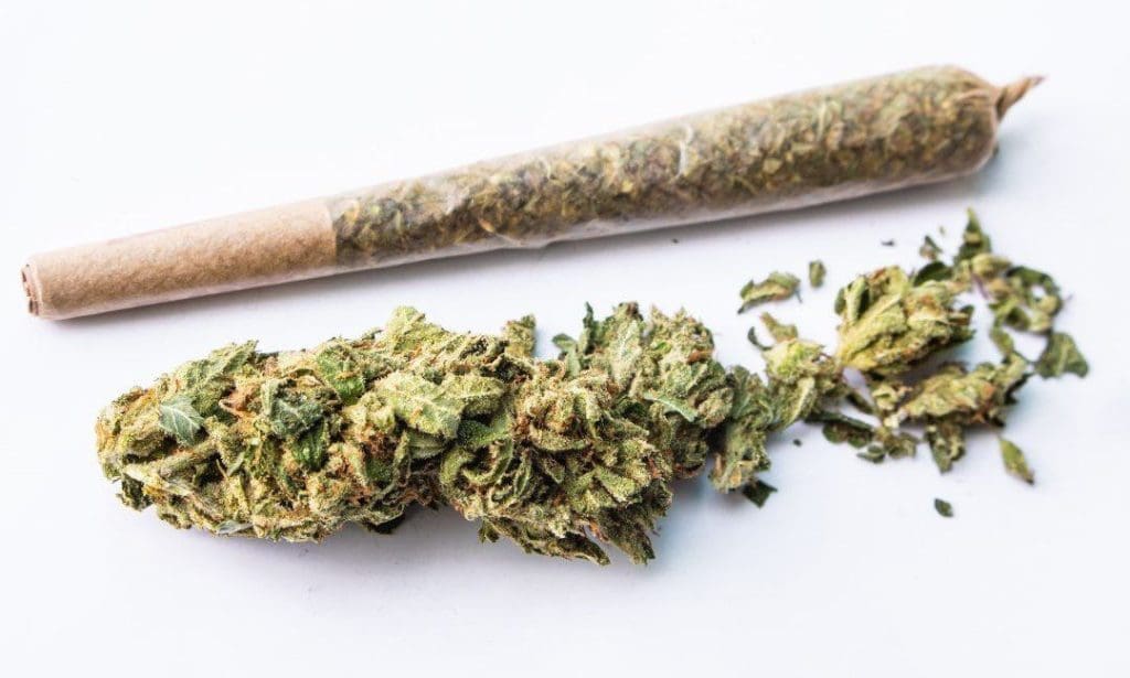 THCa flower is available in raw flower, pre rolls, and concentrates