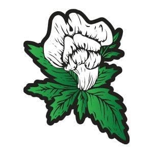 Snapdragon Hemp Logo