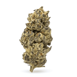 THCa Flower Black Cherry Soda - Bud
