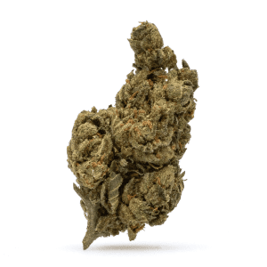 THCa Flower Jokerz Candy Bud