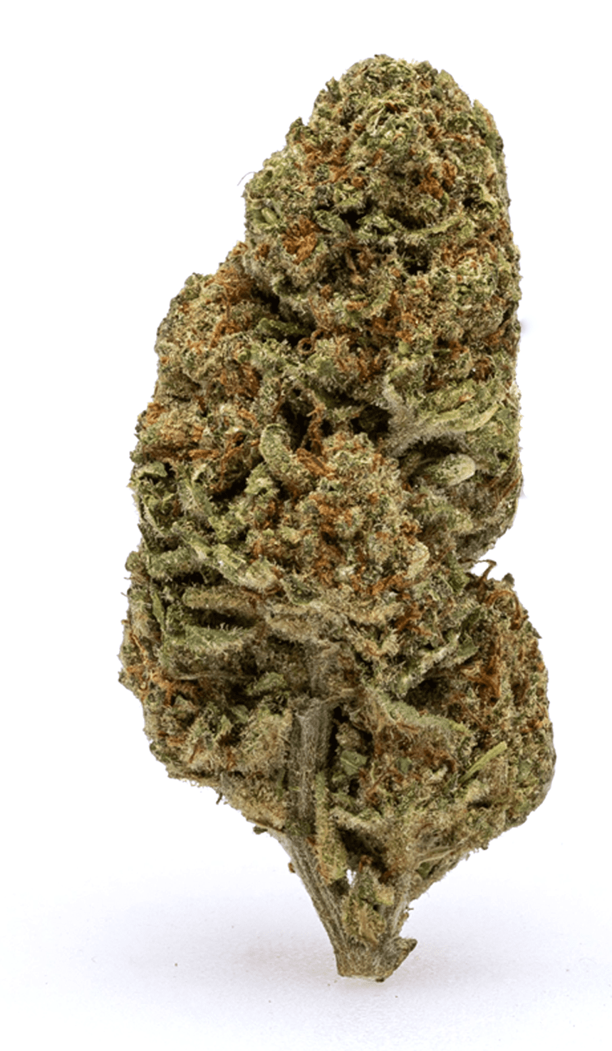 A dingle bud of the blue dream strain