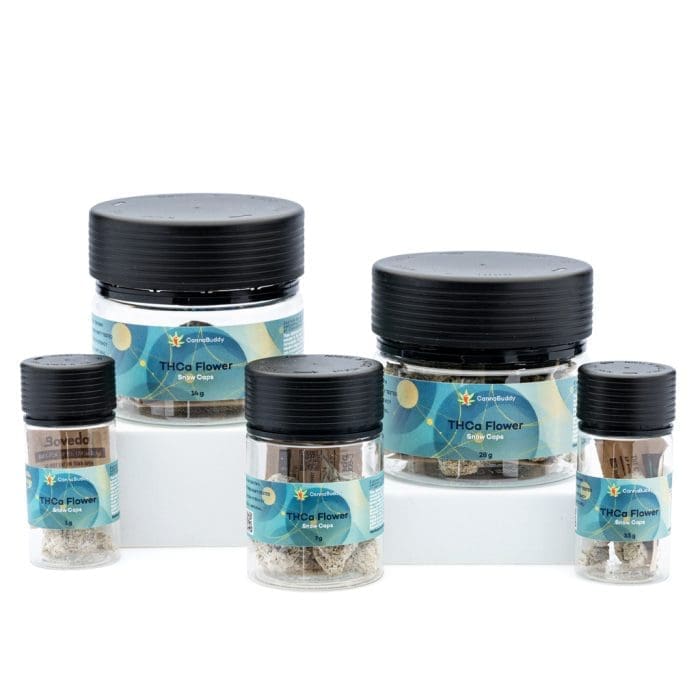 THCa Flower Snow Caps Candyland - Jars Group Shot