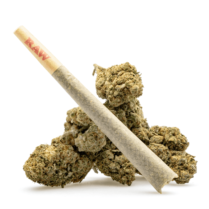 THCa Flower Pre-Roll Acapulco Gold - preroll with buds