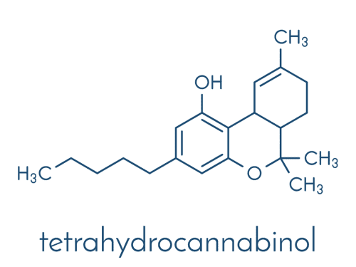The chemical makeup of THC.