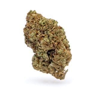 THCa Flower Purple Cream - Bud